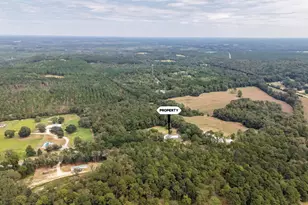 1955 N Hwy 181, Westville, FL 32464 - Photo 57