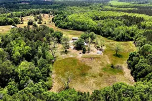 1718 Robbins Bridge, Bonifay, FL 32425 - Photo 31