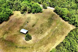 1718 Robbins Bridge, Bonifay, FL 32425 - Photo 35