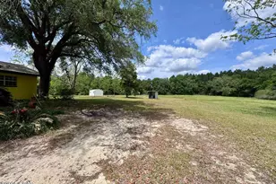 1718 Robbins Bridge, Bonifay, FL 32425 - Photo 5