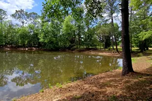 1718 Robbins Bridge, Bonifay, FL 32425 - Photo 3