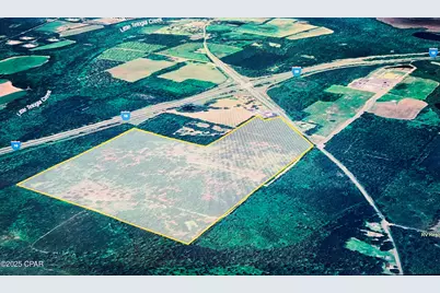 Xxxx Greensboro Hwy, Quincy, FL 32351 - Photo 1