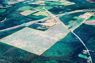 Xxxx Greensboro Hwy, Quincy, FL 32351 - Photo 1