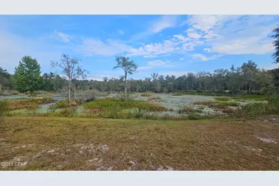 2474 Tiller Cemetery Drive, Chipley, FL 32428 - Photo 57