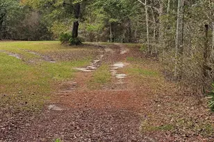 2474 Tiller Cemetery Dr, Chipley, FL 32428 - Photo 71