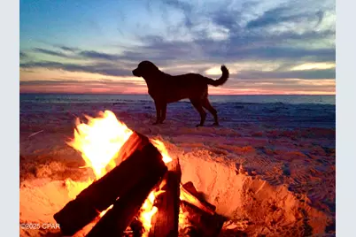 149 Sapodilla Lane, Port Saint Joe, FL 32456 - Photo 81