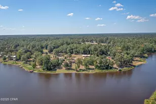 2691 Marian Dr, Bonifay, FL 32425 - Photo 53