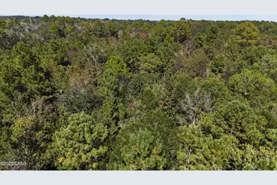 1414 Highway 2, Graceville, FL 32440 - Photo 3