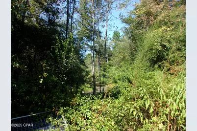 1414 Highway 2, Graceville, FL 32440 - Photo 17