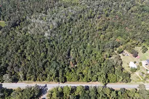 1414 Hwy 2, Graceville, FL 32440 - Photo 1