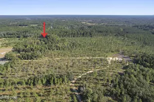 2649 Bonnett Pond Rd, Chipley, FL 32428 - Photo 7