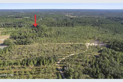 2649 Bonnett Pond Road, Chipley, FL 32428 - Photo 5