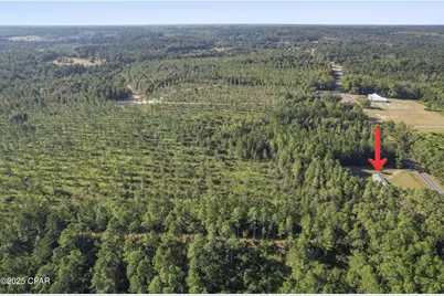 2649 Bonnett Pond Road, Chipley, FL 32428 - Photo 3