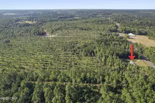 2649 Bonnett Pond Rd, Chipley, FL 32428 - Photo 3