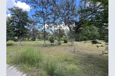 3731 Bull Run Lane Lane, Marianna, FL 32446 - Photo 5