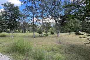 3731 Bull Run Ln Ln, Marianna, FL 32446 - Photo 5