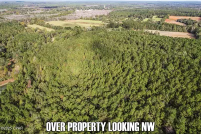 0 Ambus Lane, Chipley, FL 32428 - Photo 15
