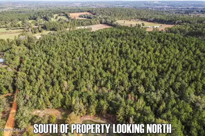 0 Ambus Lane, Chipley, FL 32428 - Photo 13