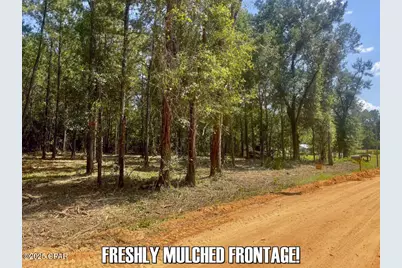 0 Ambus Lane, Chipley, FL 32428 - Photo 3