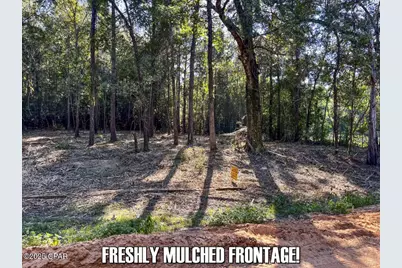 0 Ambus Lane, Chipley, FL 32428 - Photo 5