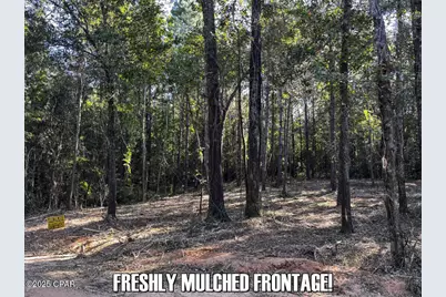 0 Ambus Lane, Chipley, FL 32428 - Photo 9