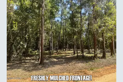 0 Ambus Lane, Chipley, FL 32428 - Photo 7
