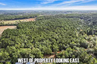 0 Ambus Lane, Chipley, FL 32428 - Photo 11