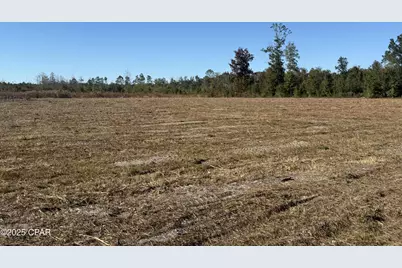 Lot 1 Hwy 71, Wewahitchka, FL 32465 - Photo 3