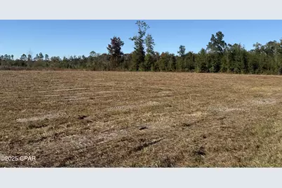 Lot 1 Hwy 71, Wewahitchka, FL 32465 - Photo 1