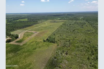 Lot 1 Hwy 71, Wewahitchka, FL 32465 - Photo 15