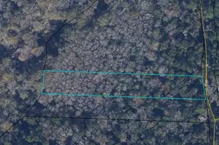 Tbd W Nottingham Rd, Bonifay, FL 32425 - Photo 1