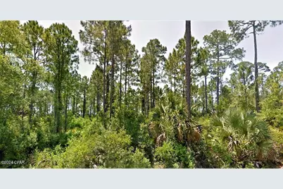 1 Cr 30-A, Port Saint Joe, FL 32456 - Photo 1