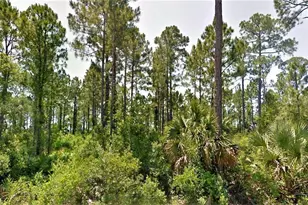 1 Cr 30-A, Port Saint Joe, FL 32456 - Photo 1