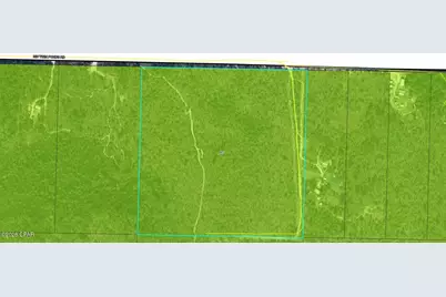 Tbd Twin Ponds Road, Altha, FL 32421 - Photo 3