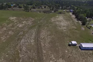 5279 NW County Rd 274, Altha, FL 32421 - Photo 7