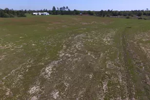 5279 NW County Rd 274, Altha, FL 32421 - Photo 5