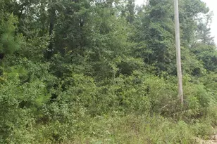 Xxx Foxworth Rd, Chipley, FL 32428 - Photo 1