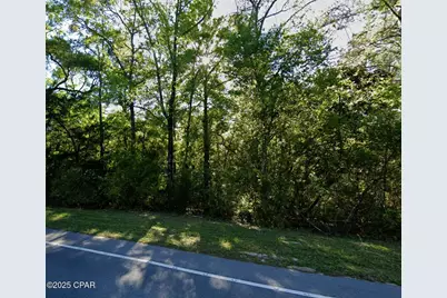 0 Fl 81 Highway, Ponce de Leon, FL 32455 - Photo 3