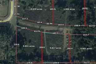 0000 Gerald St, Sneads, FL 32460 - Photo 3