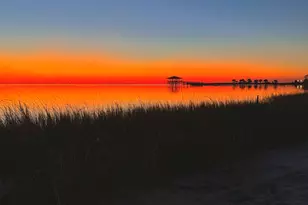 715 Backwater Rd, Port Saint Joe, FL 32456 - Photo 39