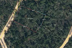 000 Apalachicola Ave, Alford, FL 32420 - Photo 3