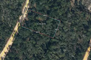 0000 Apalachicola Ave, Alford, FL 32420 - Photo 3