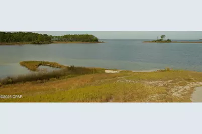 1401 Buttonsage Avenue #LOT 648, Panama City, FL 32405 - Photo 169