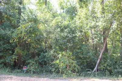0 NW Hall Circle, Bristol, FL 32321 - Photo 1