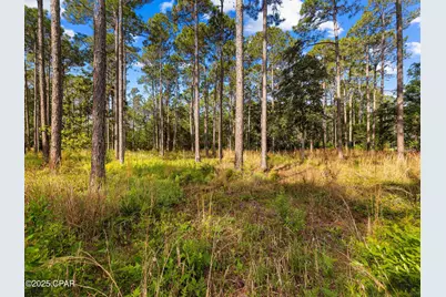 7535 Morning Marsh Trail, Panama City Beach, FL 32413 - Photo 17