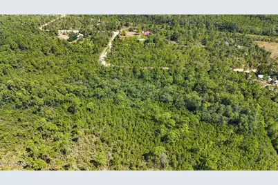 19809 Dickerson Road, Fountain, FL 32438 - Photo 9