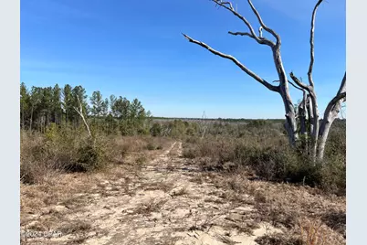 0 James Luther Street, Ponce de Leon, FL 32455 - Photo 1