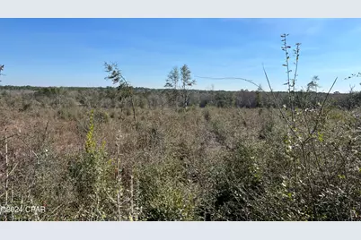 0 James Luther Street, Ponce de Leon, FL 32455 - Photo 7