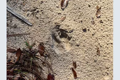 0 James Luther Street, Ponce de Leon, FL 32455 - Photo 11