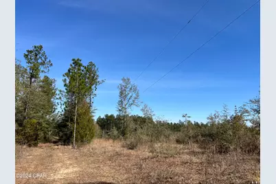 0 James Luther Street, Ponce de Leon, FL 32455 - Photo 5